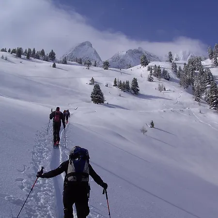 Schweinberger Цель-ам-Циллер