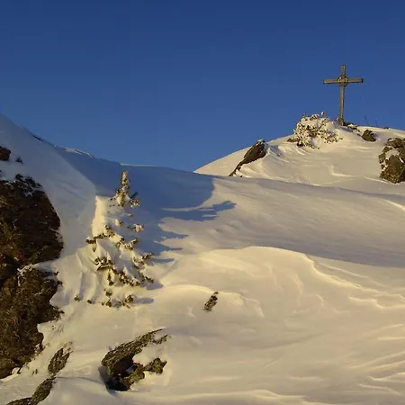 Schweinberger צל אם צילר