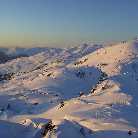 דירה Schweinberger צל אם צילר