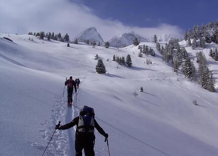 Schweinberger Цель-ам-Циллер