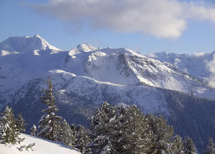 Апартаменты Schweinberger *